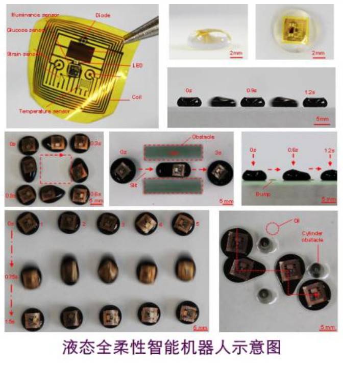全球首個(gè)液態(tài)全柔性智能機(jī)器人誕生