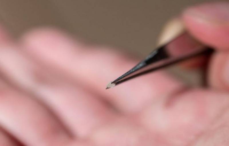 ���΁������W(xu��)Ժ�аl(f��)��С���׺�����Ҋ��3D��ӡ�C����