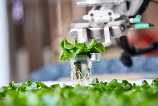 δ���ęC�����r��������������������