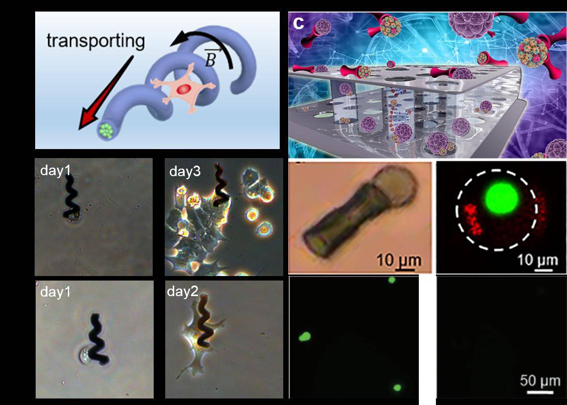 �Ї��ƴ������h�̿ɿصĴſ�΢�{�C�������ڰ���ˎ���ί�