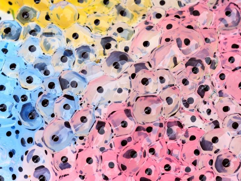 ������C���˹��ܣ�������ƌW�Ҍ��Fͻ��