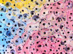 細胞為機器人供能?意大利科學家實現突破