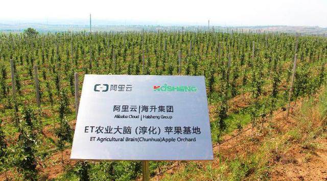 AI做得深,趕快去農村