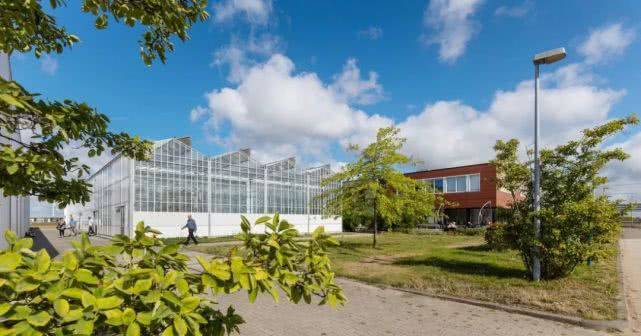 AI做得深,趕快去農村