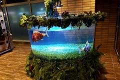 觀賞魚機器人市場的開拓者——AIRO水下機器人演出系統開發......水族館、主題公園市場拓展