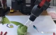 研究人員開發出了一種機器人生菜剝葉系統