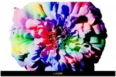 正念冥想機器人-激發潛在創意