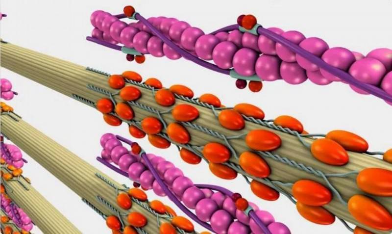 T800��܊�C���˲�����������R�_���������\�ӣ�