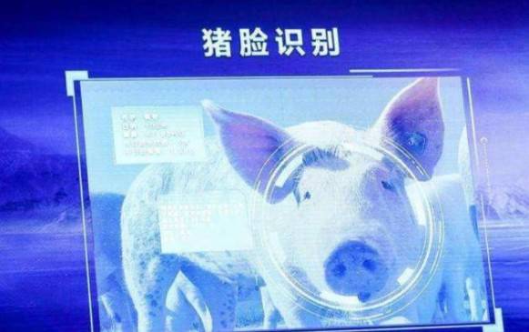 ���|��֙C(j��)�����B(y��ng)�i���r(n��ng)�I(y��)�Ј���(x��)���Ƿ����޴�