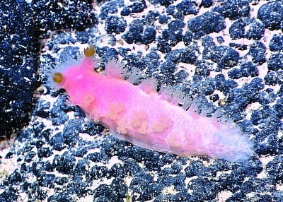 �Ї�(gu��)ˮ�C(j��)���˵����ж�ţ��